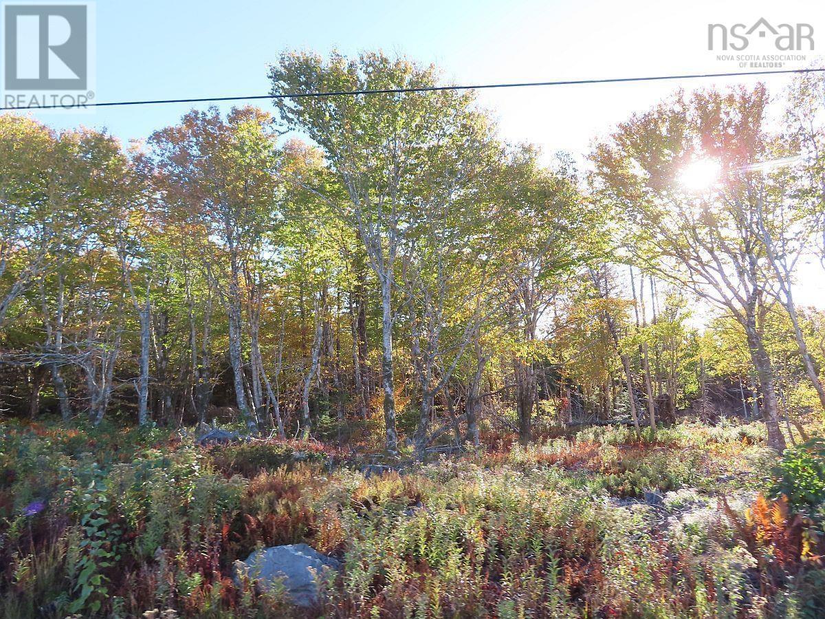 118 Acres Loch Lomond Road, Big Pond, Nova Scotia  B1J 1R4 - Photo 44 - 202529079