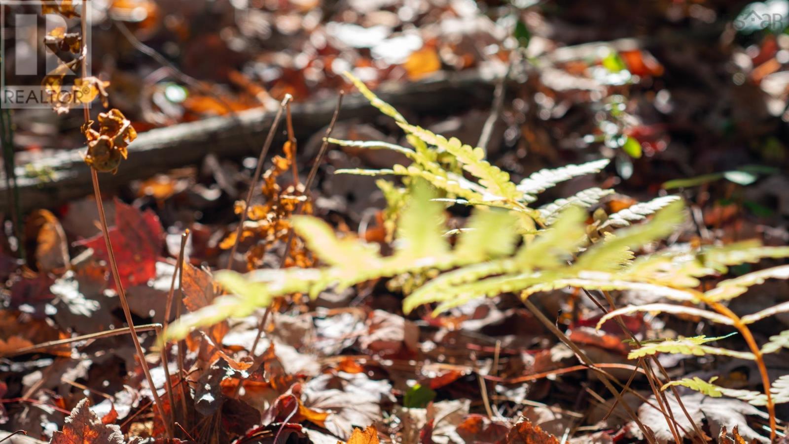Lot Br-1 Bowers Road, Lower Ohio, Nova Scotia  B0T 1W0 - Photo 10 - 202529096