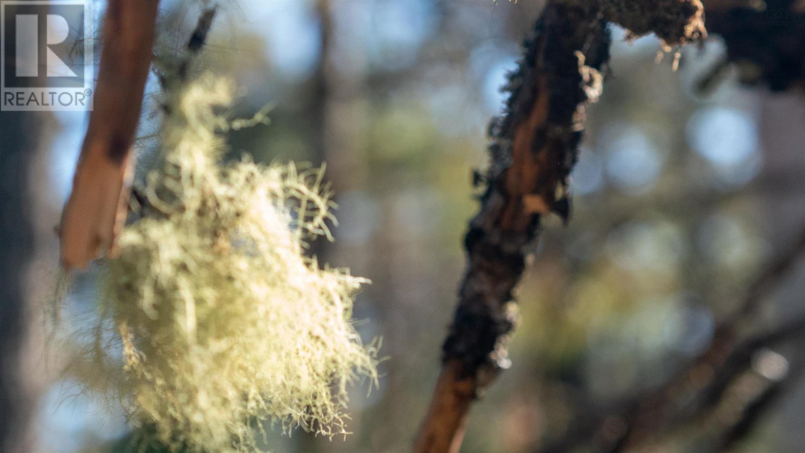 Lot Br-1 Bowers Road, Lower Ohio, Nova Scotia  B0T 1W0 - Photo 4 - 202529096