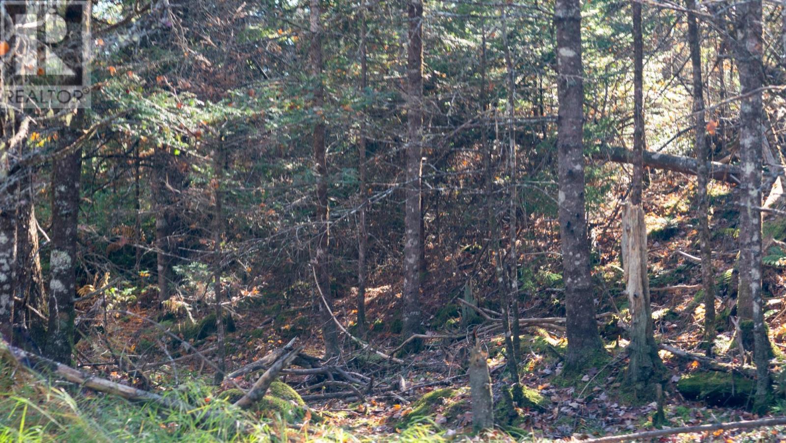 Lot Br-1 Bowers Road, Lower Ohio, Nova Scotia  B0T 1W0 - Photo 5 - 202529096