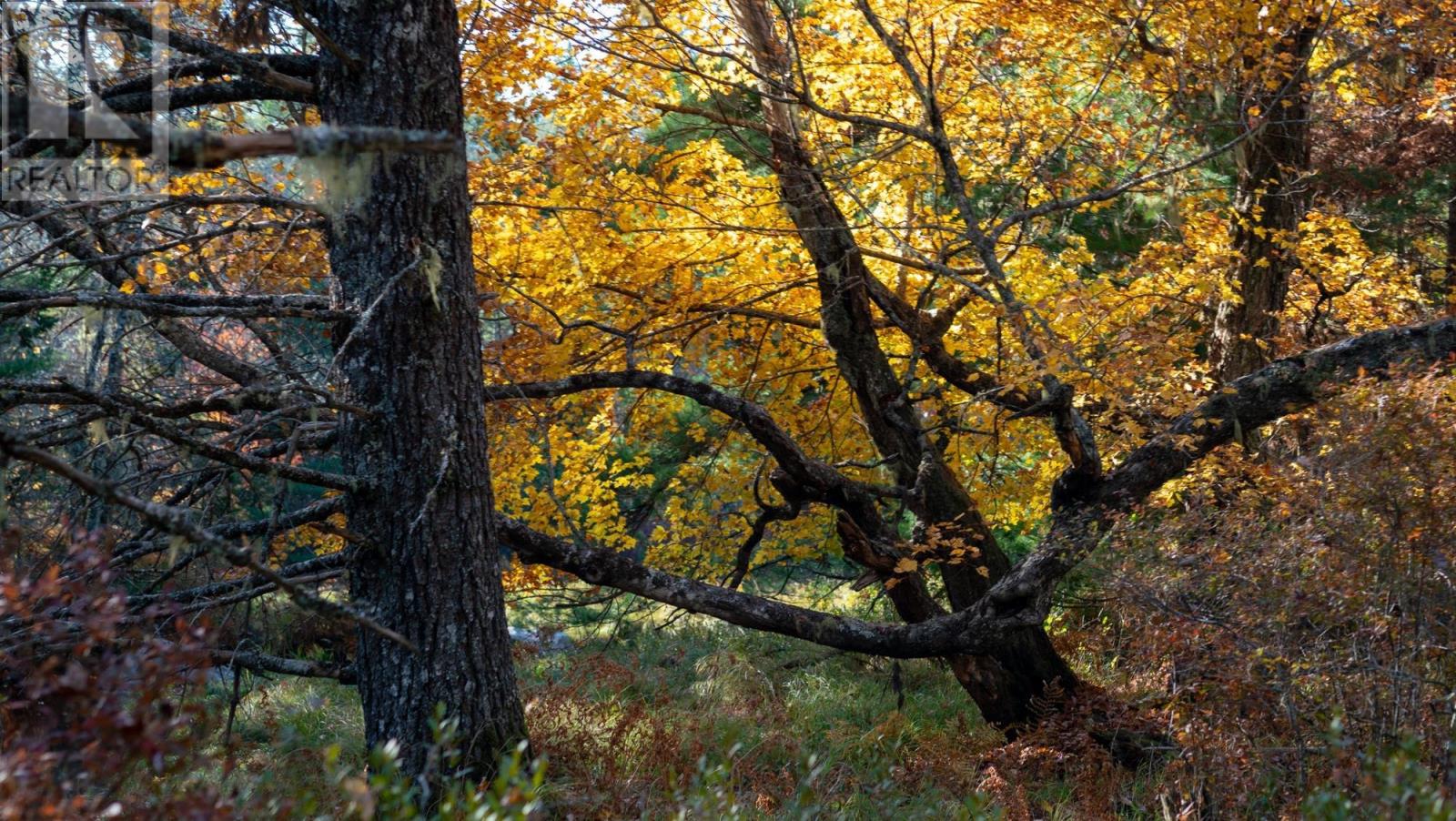 Lot Br-1 Bowers Road, Lower Ohio, Nova Scotia  B0T 1W0 - Photo 6 - 202529096