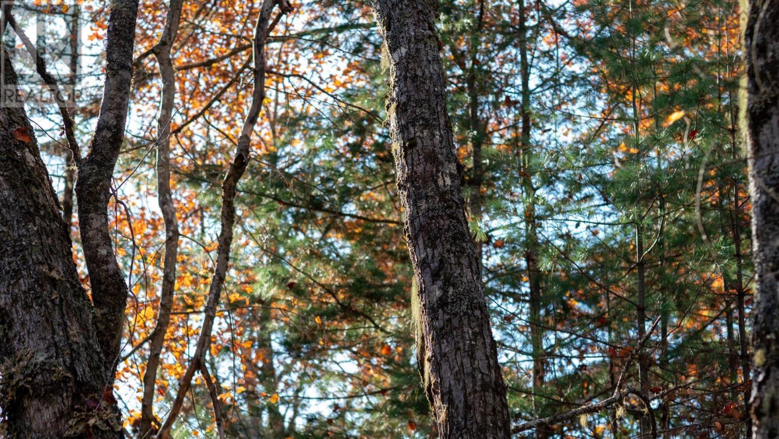 Lot Br-1 Bowers Road, Lower Ohio, Nova Scotia  B0T 1W0 - Photo 7 - 202529096