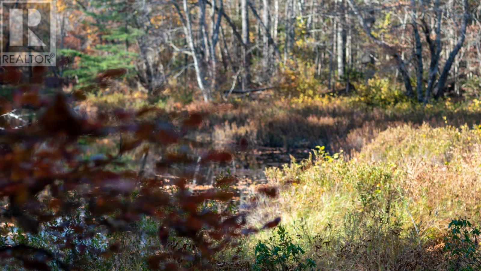 Lot Br-3 Bowers Road, Lower Ohio, Nova Scotia  B0T 1W0 - Photo 7 - 202529098