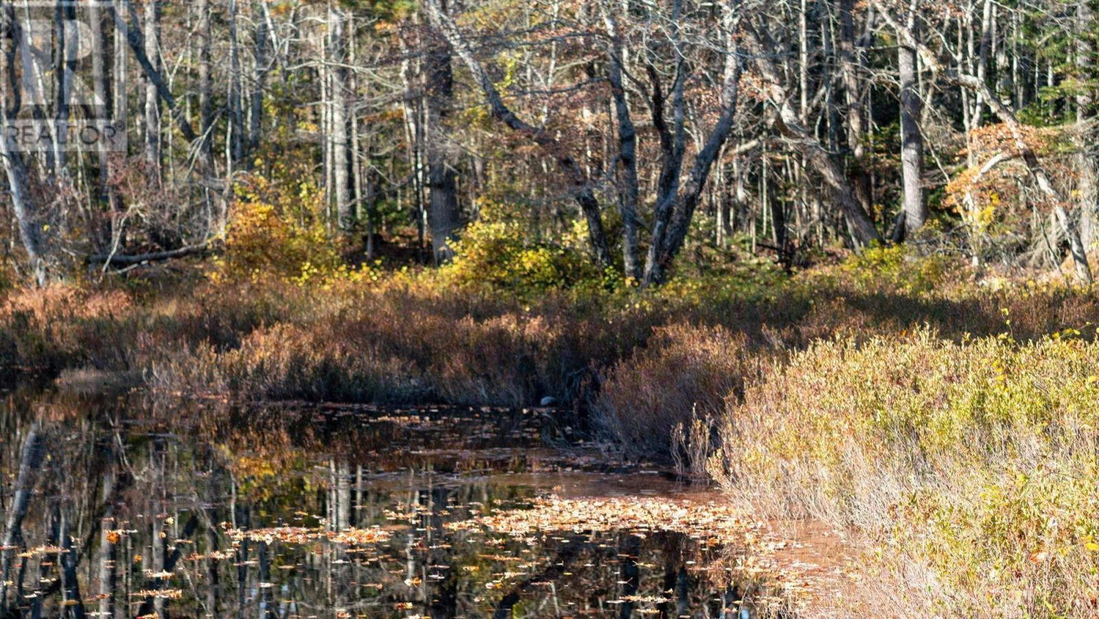 Lot Br-3 Bowers Road, Lower Ohio, Nova Scotia  B0T 1W0 - Photo 8 - 202529098