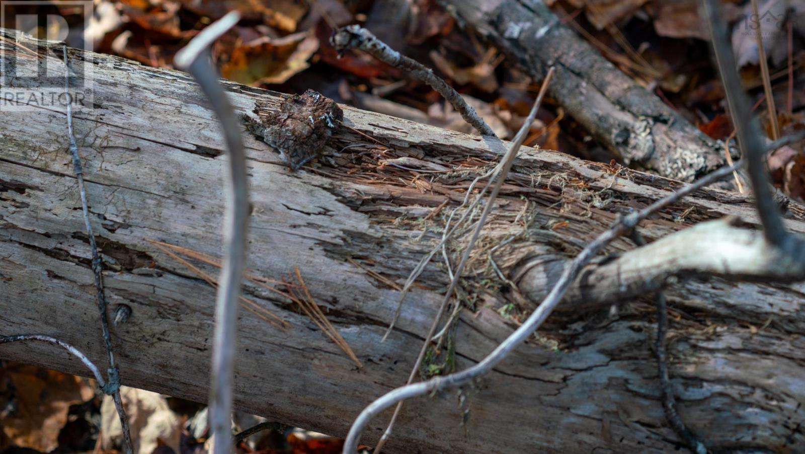 Lot Br-4 Bower Road, Lower Ohio, Nova Scotia  B0T 1W0 - Photo 6 - 202529099