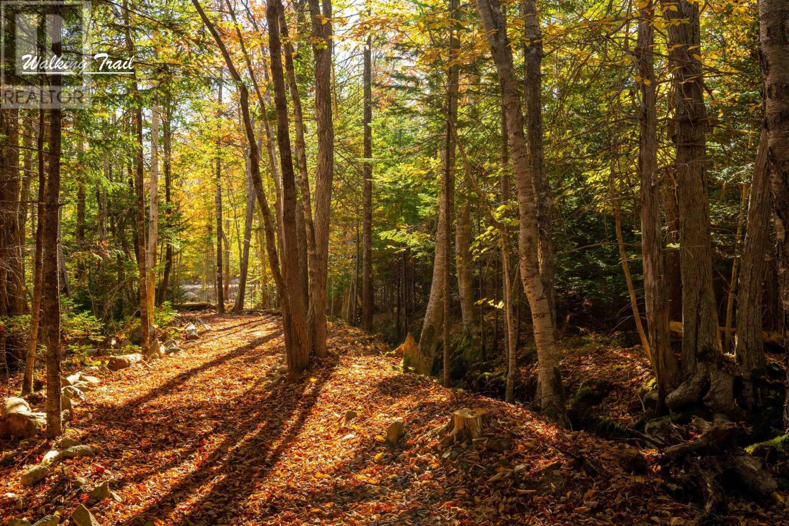 Lot 12 Croft Road, Chester Basin, Nova Scotia  B0J 1K0 - Photo 13 - 202529112