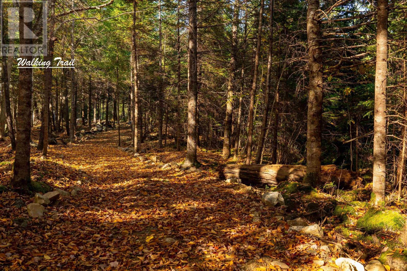 Lot 12 Croft Road, Chester Basin, Nova Scotia  B0J 1K0 - Photo 14 - 202529112