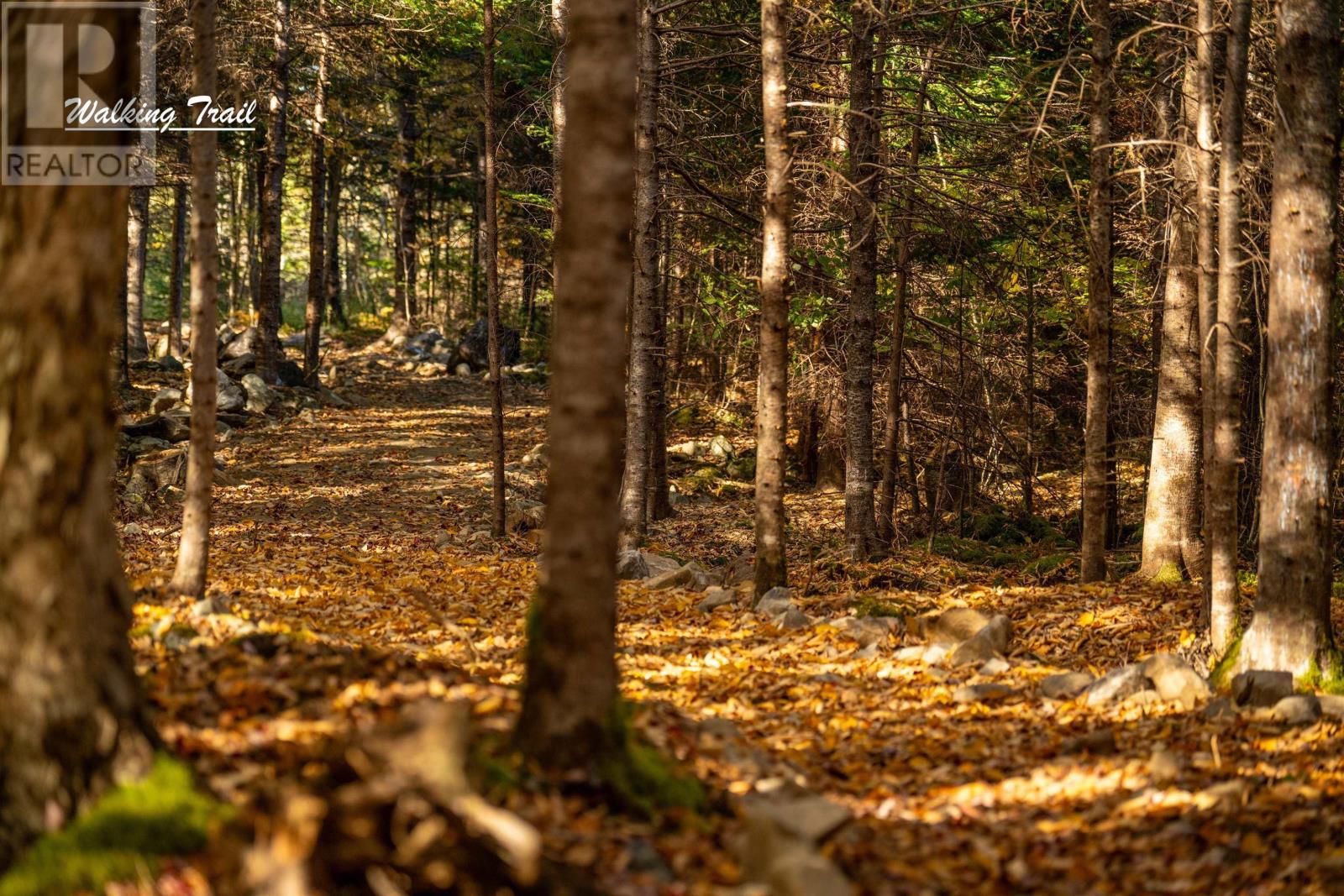 Lot 12 Croft Road, Chester Basin, Nova Scotia  B0J 1K0 - Photo 15 - 202529112