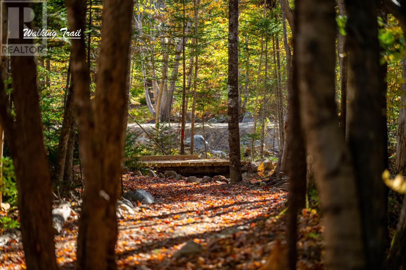Lot 12 Croft Road, Chester Basin, Nova Scotia  B0J 1K0 - Photo 18 - 202529112