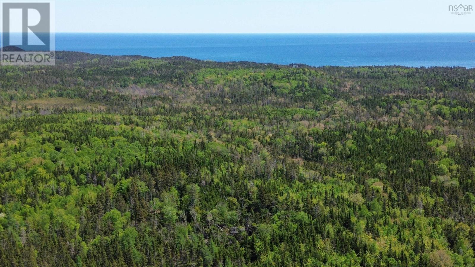 320 Highway, D'escousse, Nova Scotia  B0E 1K0 - Photo 19 - 202529131
