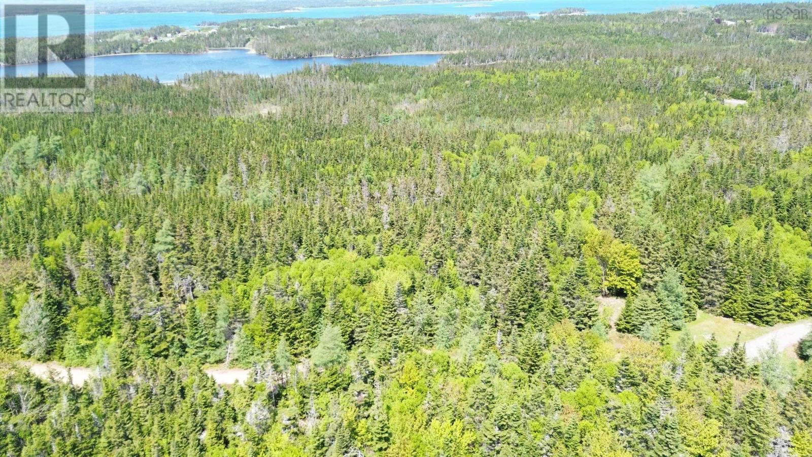 320 Highway, D'escousse, Nova Scotia  B0E 1K0 - Photo 7 - 202529131
