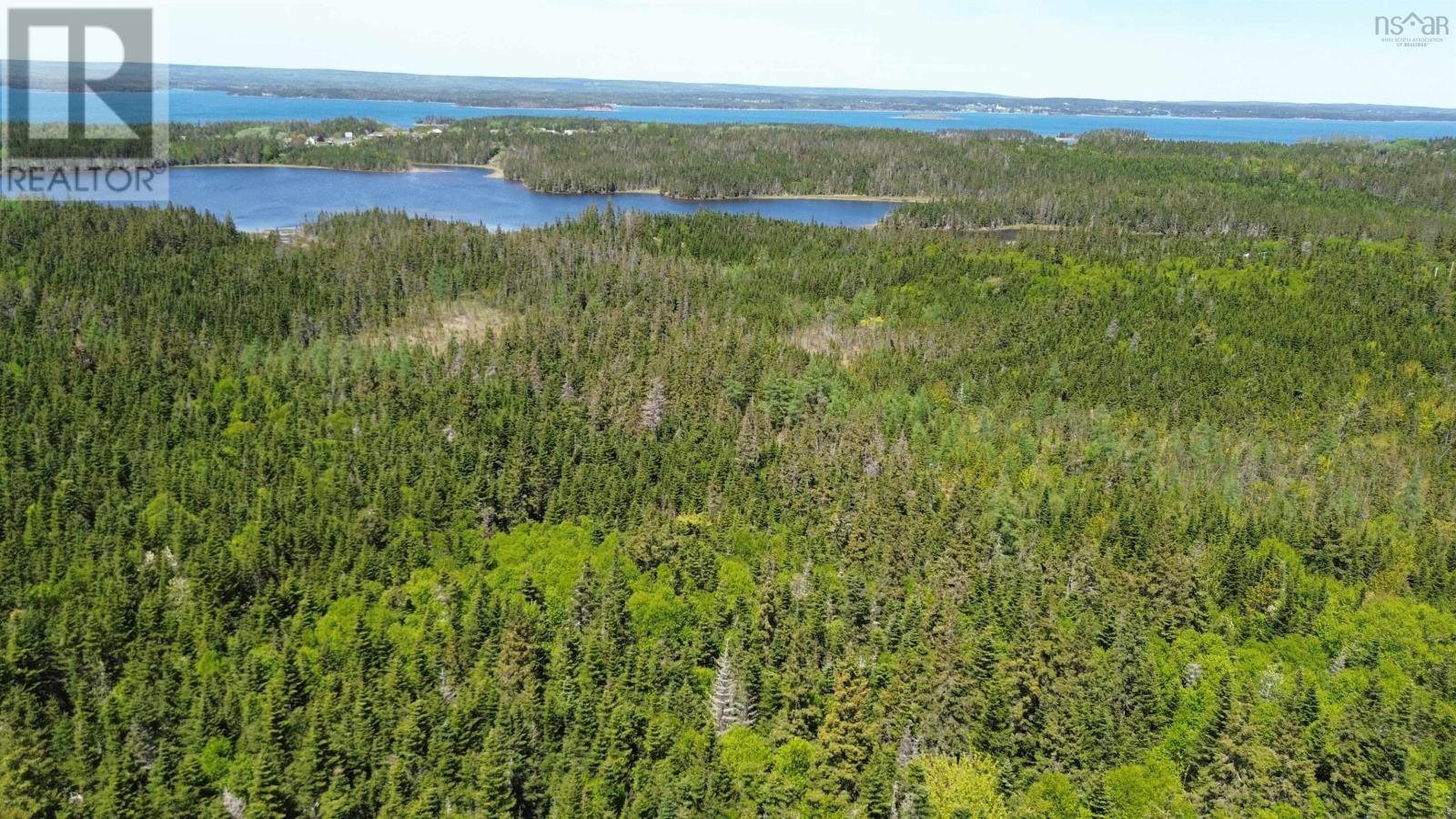 320 Highway, D'escousse, Nova Scotia  B0E 1K0 - Photo 9 - 202529131