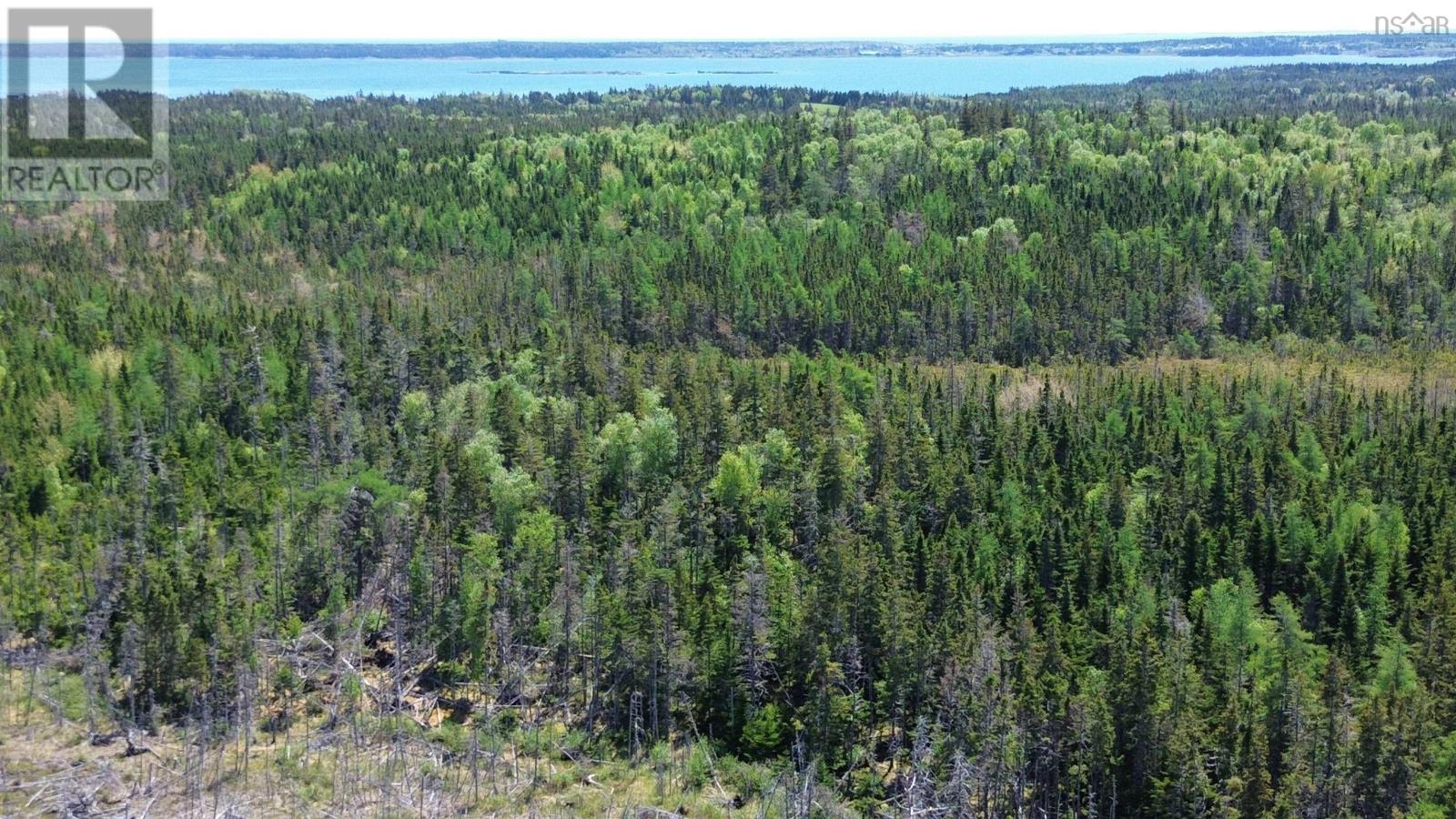 320 Highway, Poulamon, Nova Scotia  B0E 1K0 - Photo 12 - 202529133