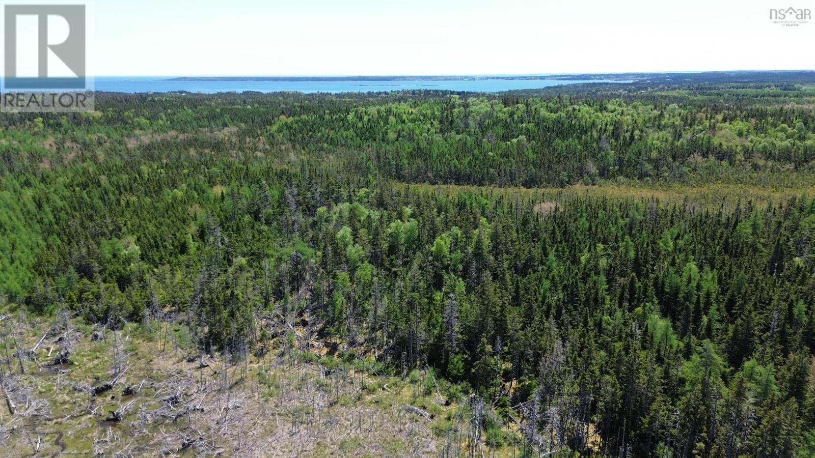 320 Highway, Poulamon, Nova Scotia  B0E 1K0 - Photo 13 - 202529133