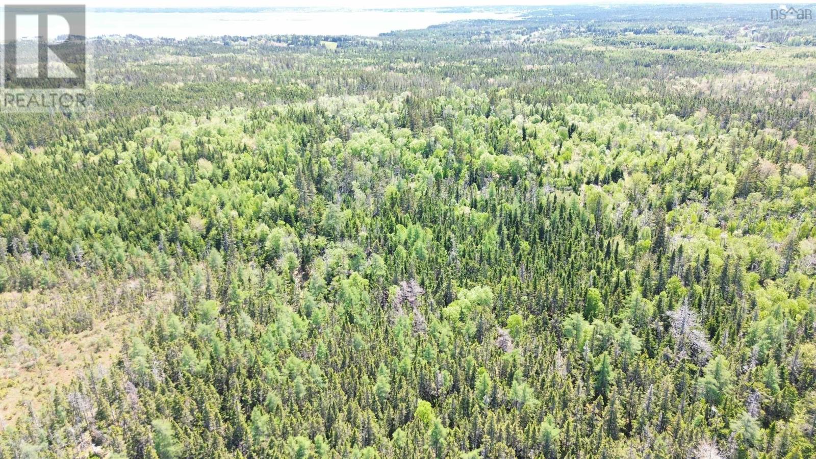 320 Highway, Poulamon, Nova Scotia  B0E 1K0 - Photo 14 - 202529133