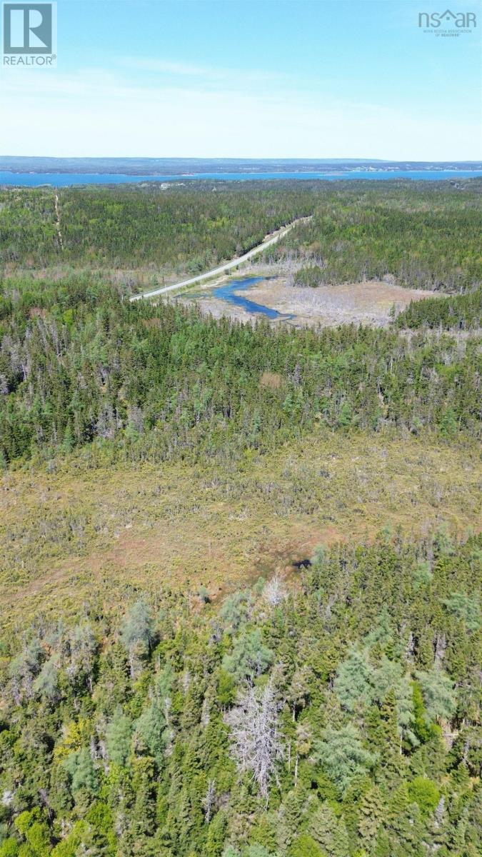 320 Highway, Poulamon, Nova Scotia  B0E 1K0 - Photo 15 - 202529133