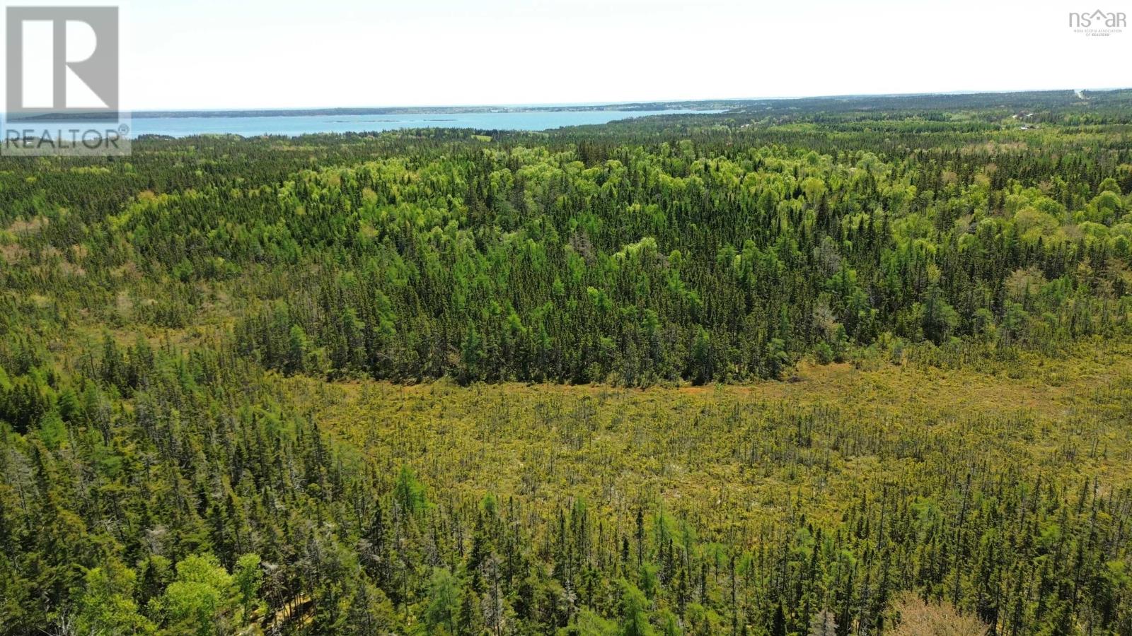 320 Highway, Poulamon, Nova Scotia  B0E 1K0 - Photo 2 - 202529133