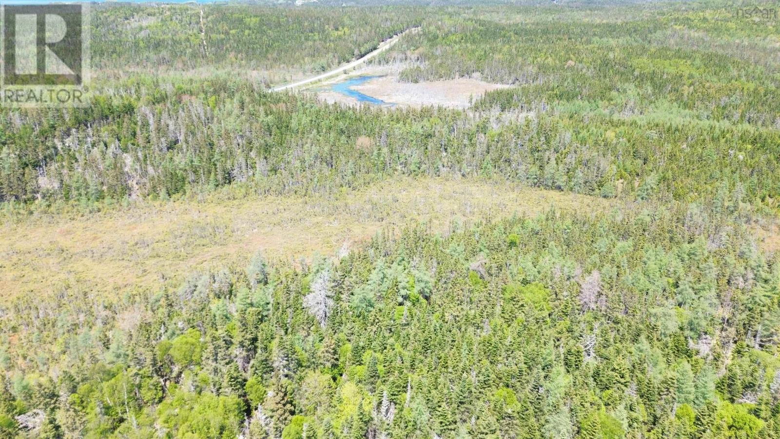 320 Highway, Poulamon, Nova Scotia  B0E 1K0 - Photo 3 - 202529133