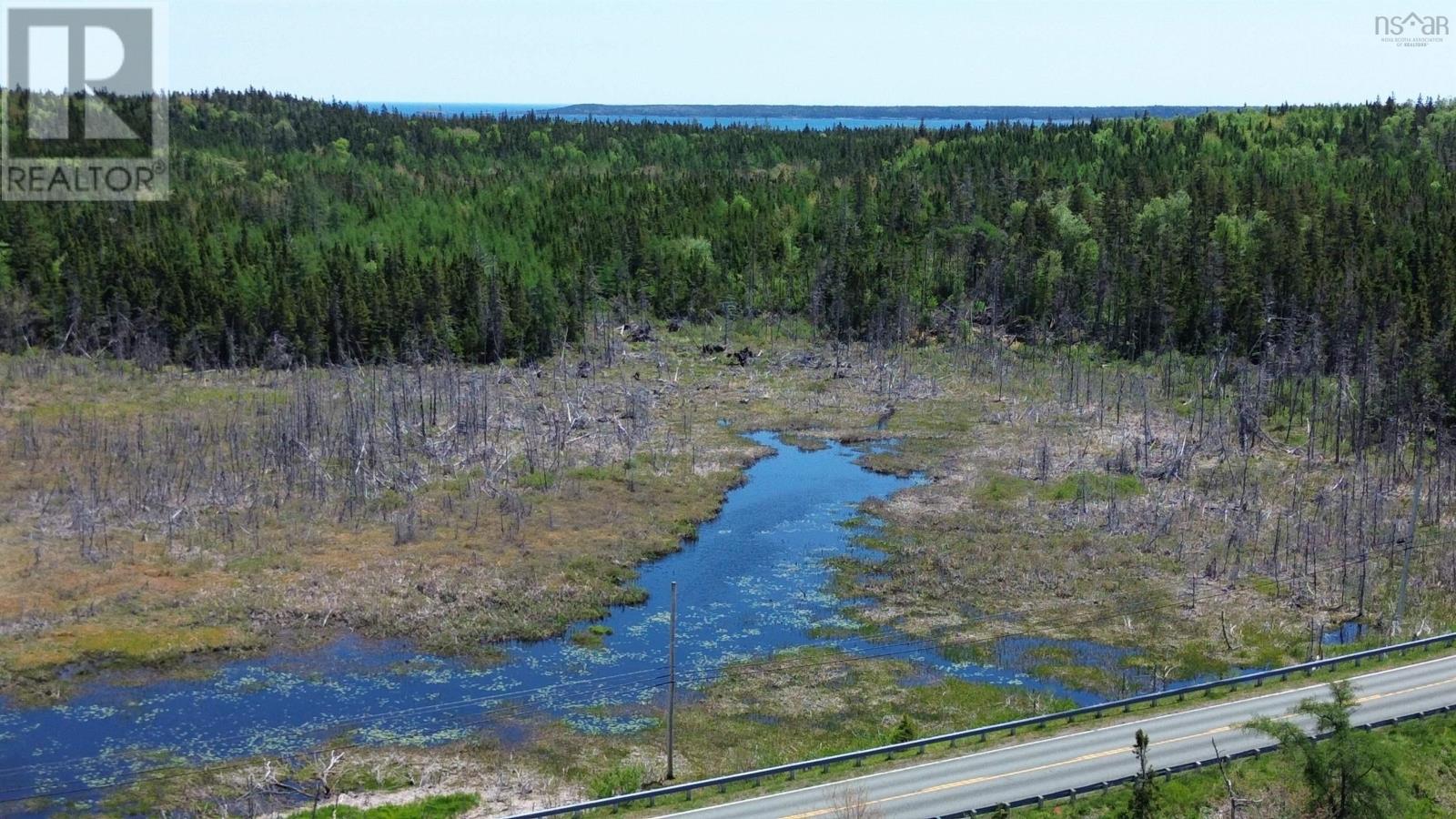 320 Highway, Poulamon, Nova Scotia  B0E 1K0 - Photo 6 - 202529133