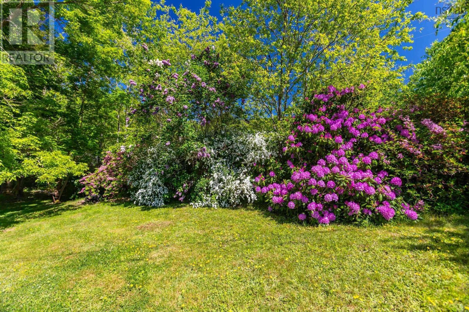 481 Chute Road, Bear River, Nova Scotia  B0S 1B0 - Photo 43 - 202529191