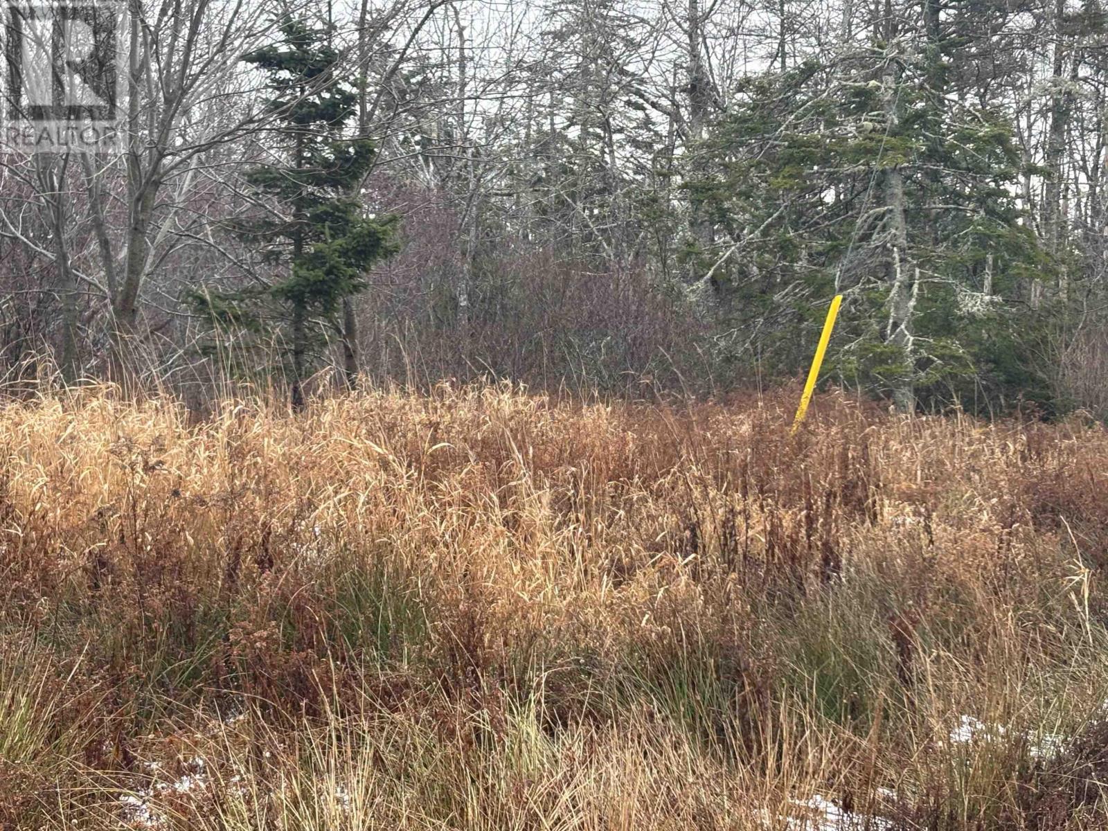 1254 Highway 340, South Ohio, South Ohio, Nova Scotia  B5A 5N1 - Photo 11 - 202529241