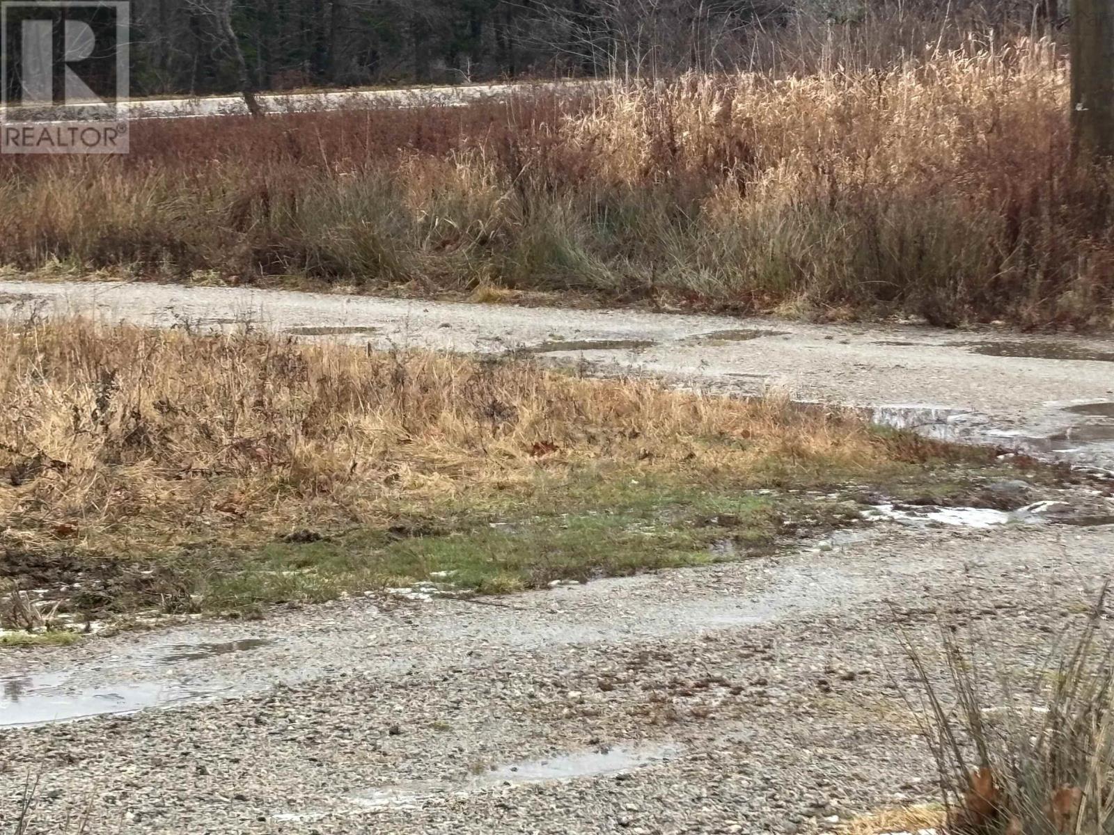 1254 Highway 340, South Ohio, South Ohio, Nova Scotia  B5A 5N1 - Photo 3 - 202529241