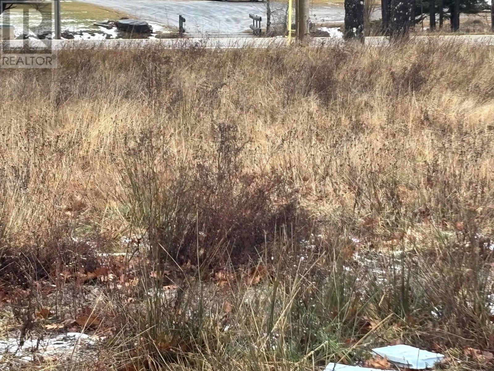 1254 Highway 340, South Ohio, South Ohio, Nova Scotia  B5A 5N1 - Photo 7 - 202529241