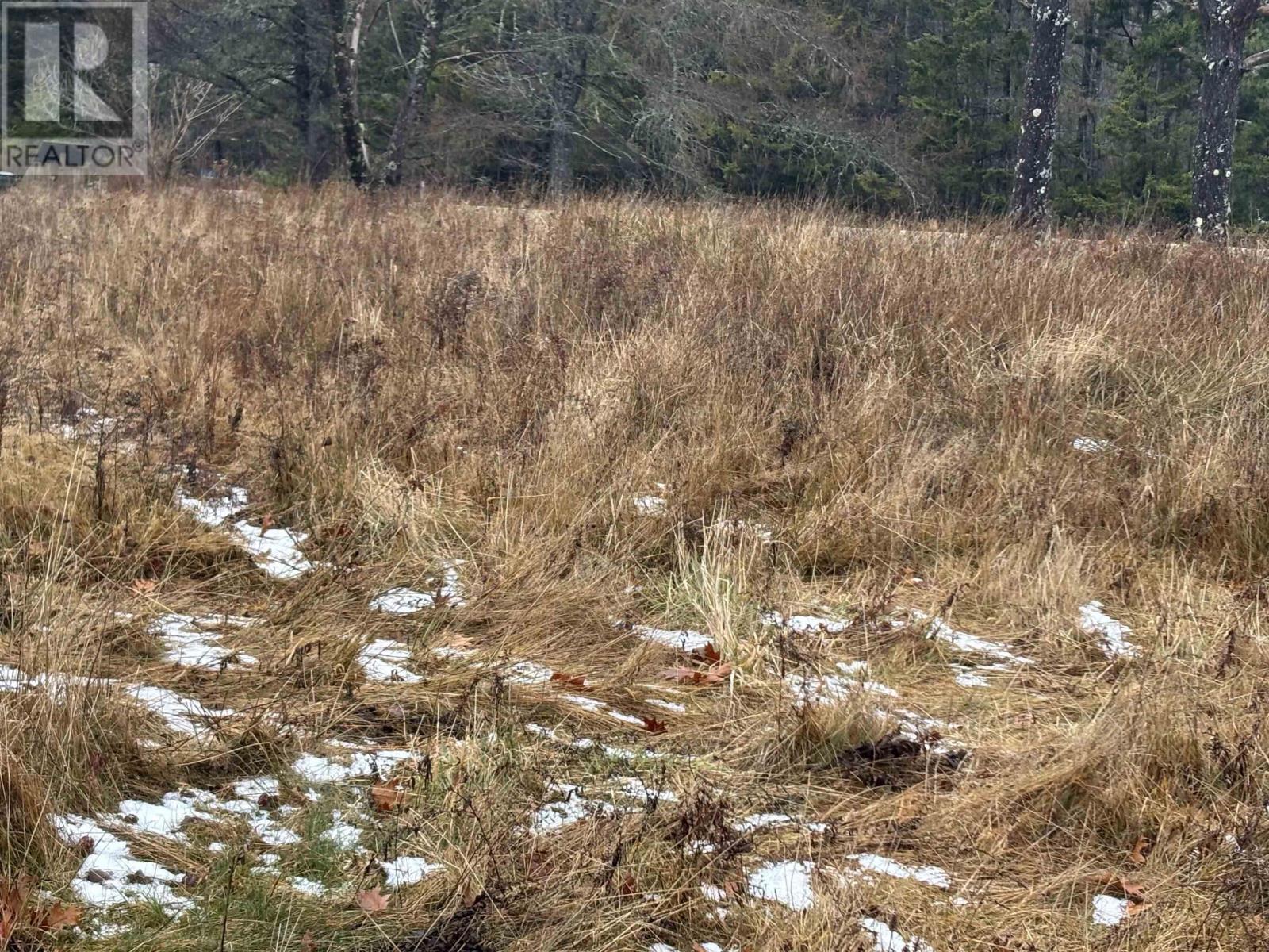 1254 Highway 340, South Ohio, South Ohio, Nova Scotia  B5A 5N1 - Photo 9 - 202529241