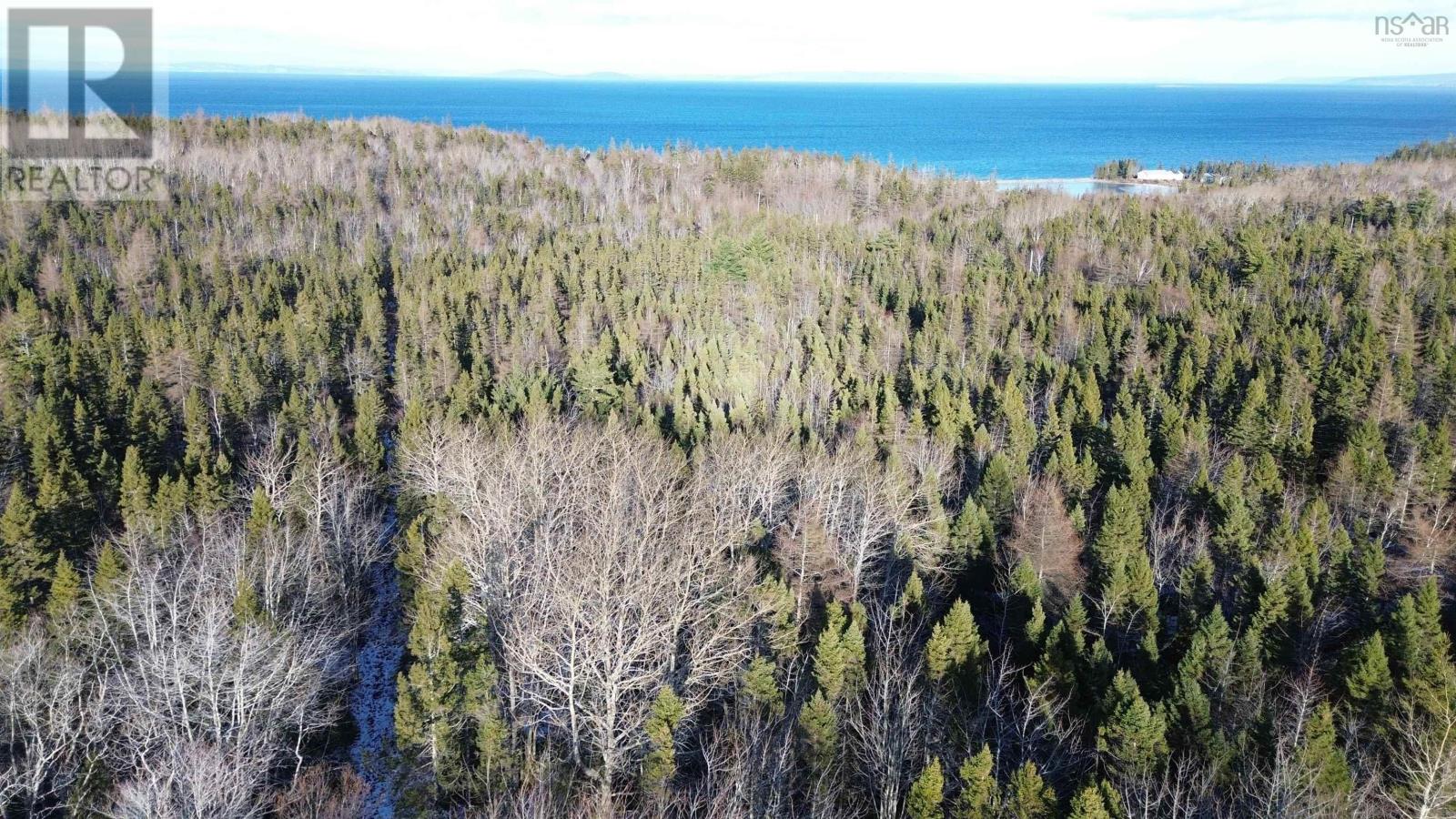 Lot 15 West Bay Highway, Roberta, Nova Scotia  B0E 3B0 - Photo 10 - 202529249