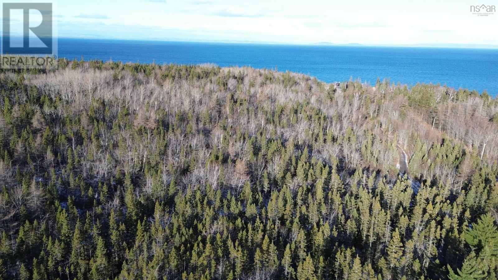 Lot 15 West Bay Highway, Roberta, Nova Scotia  B0E 3B0 - Photo 13 - 202529249