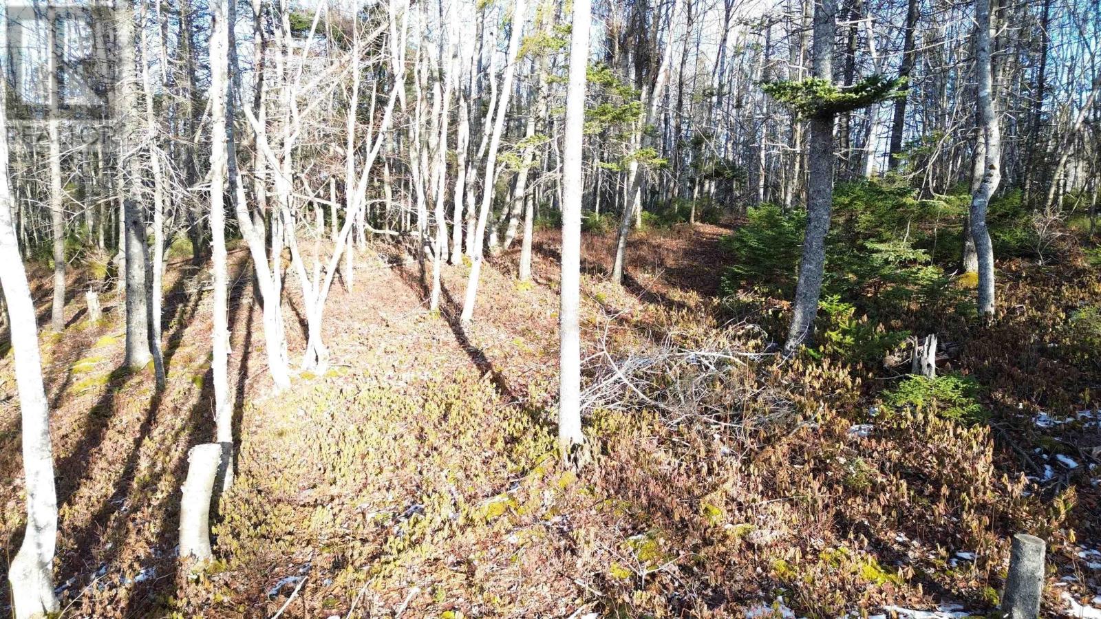 Lot 15 West Bay Highway, Roberta, Nova Scotia  B0E 3B0 - Photo 21 - 202529249