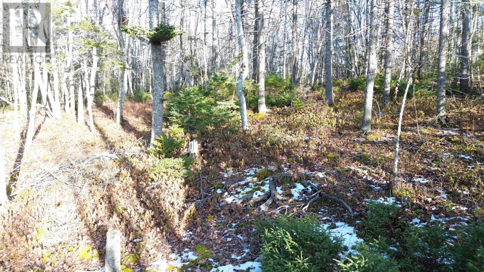 Lot 15 West Bay Highway, Roberta, Nova Scotia  B0E 3B0 - Photo 4 - 202529249