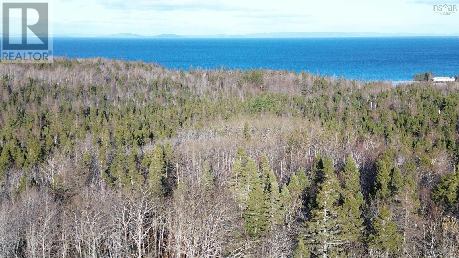 Lot 15 West Bay Highway, Roberta, Nova Scotia  B0E 3B0 - Photo 7 - 202529249