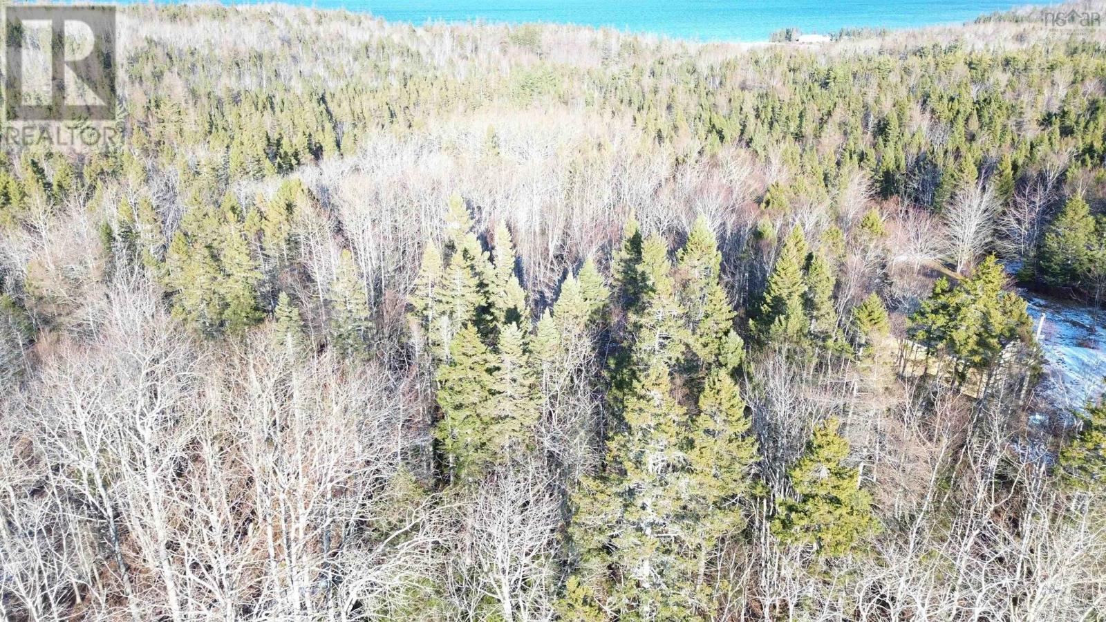 Lot 15 West Bay Highway, Roberta, Nova Scotia  B0E 3B0 - Photo 9 - 202529249