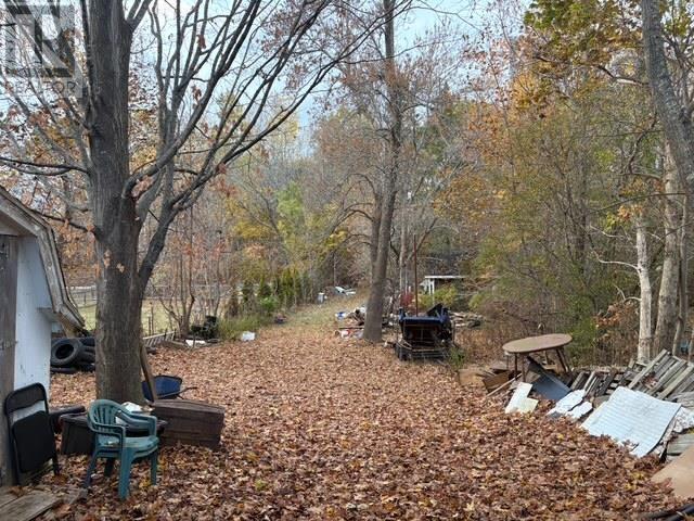 1162 Mckittrick Road, North Kentville, Nova Scotia  B4N 2V9 - Photo 11 - 202529358