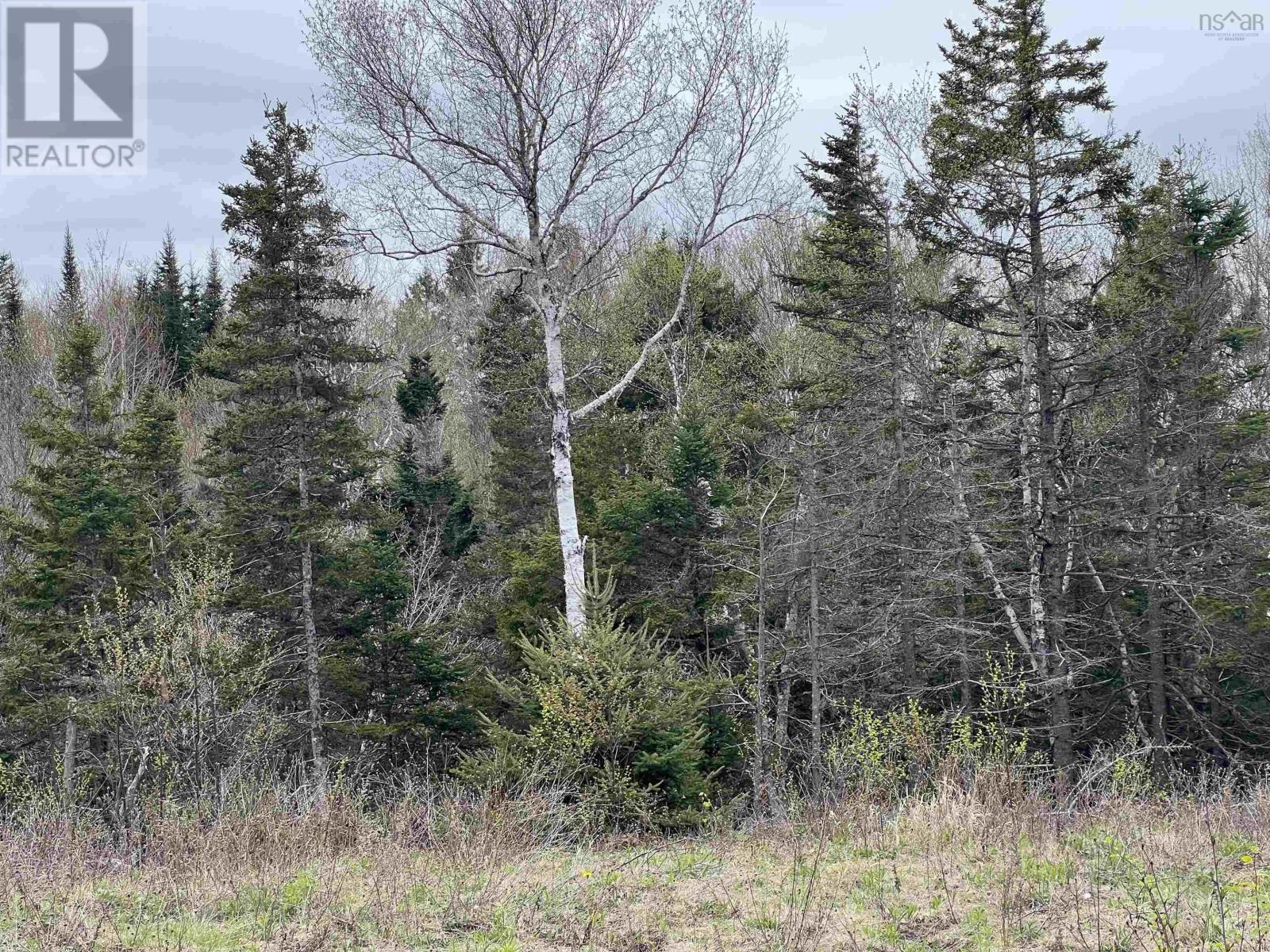 Long Beach Road, west glenmont, Nova Scotia