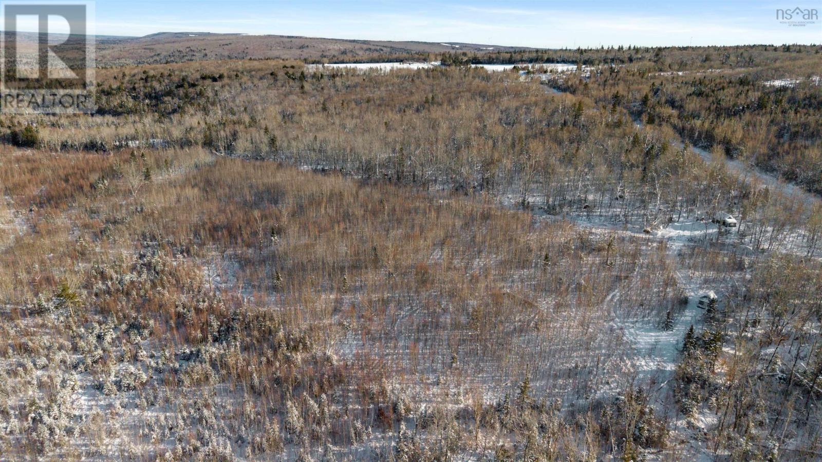 Jersey Road, Westchester Valley, Nova Scotia  B0M 2A0 - Photo 6 - 202529445