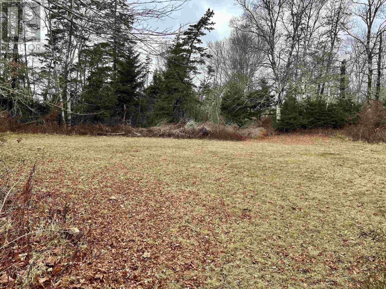 20 Chemin De Laboiteau, Wedgeport, Nova Scotia  B0W 3P0 - Photo 21 - 202529452