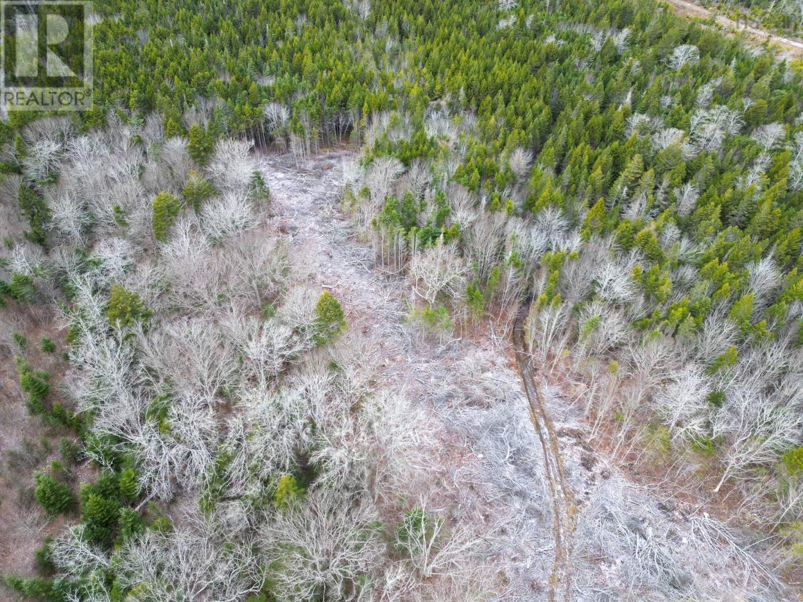 Lot Peter Leblanc Road, St. Alphonse, Nova Scotia  B0W 2J0 - Photo 11 - 202529524