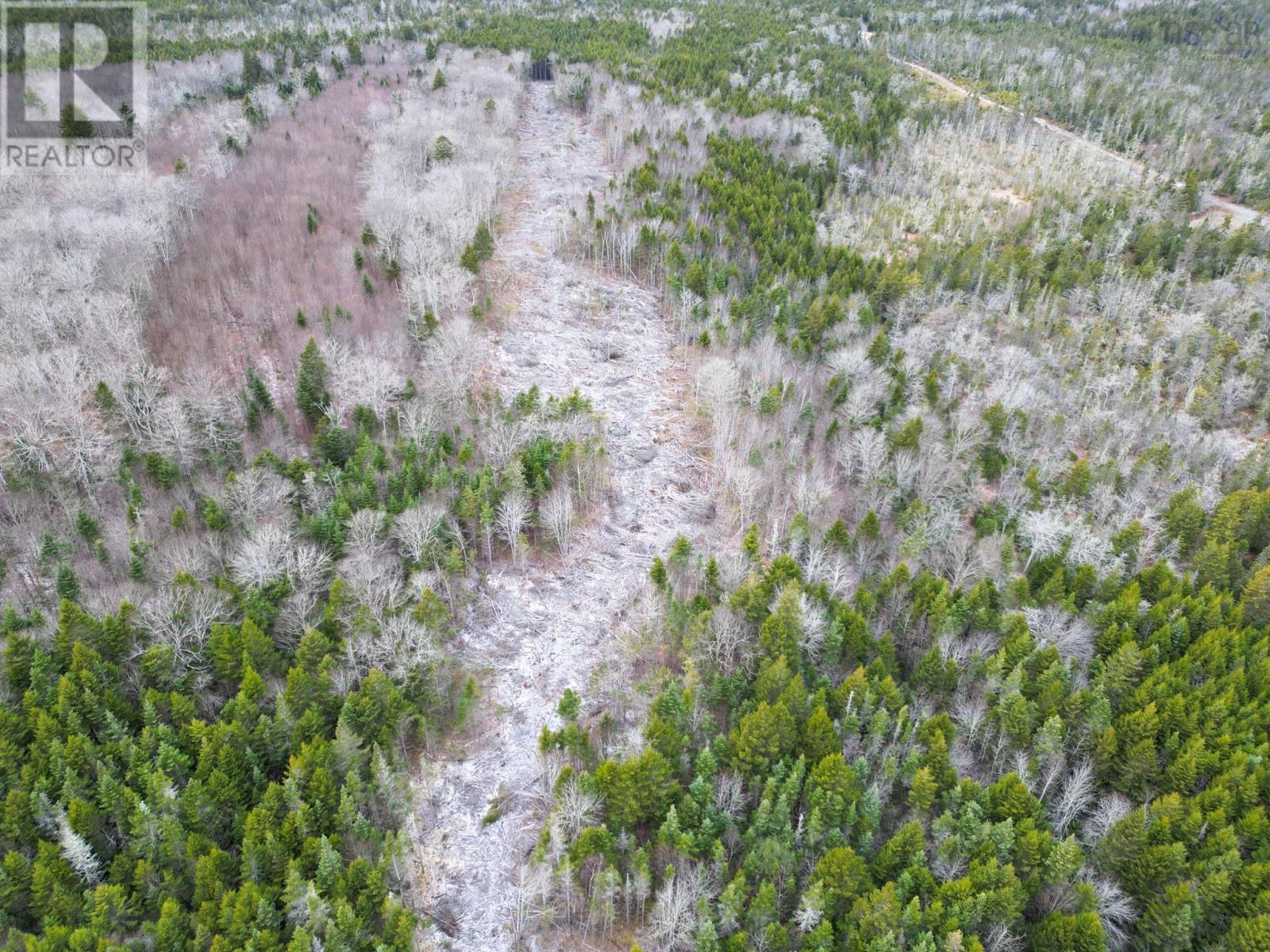 Lot Peter Leblanc Road, St. Alphonse, Nova Scotia  B0W 2J0 - Photo 12 - 202529524