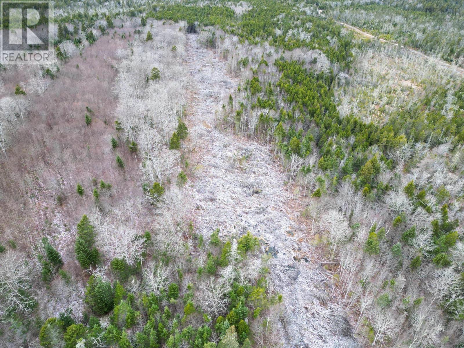 Lot Peter Leblanc Road, St. Alphonse, Nova Scotia  B0W 2J0 - Photo 14 - 202529524