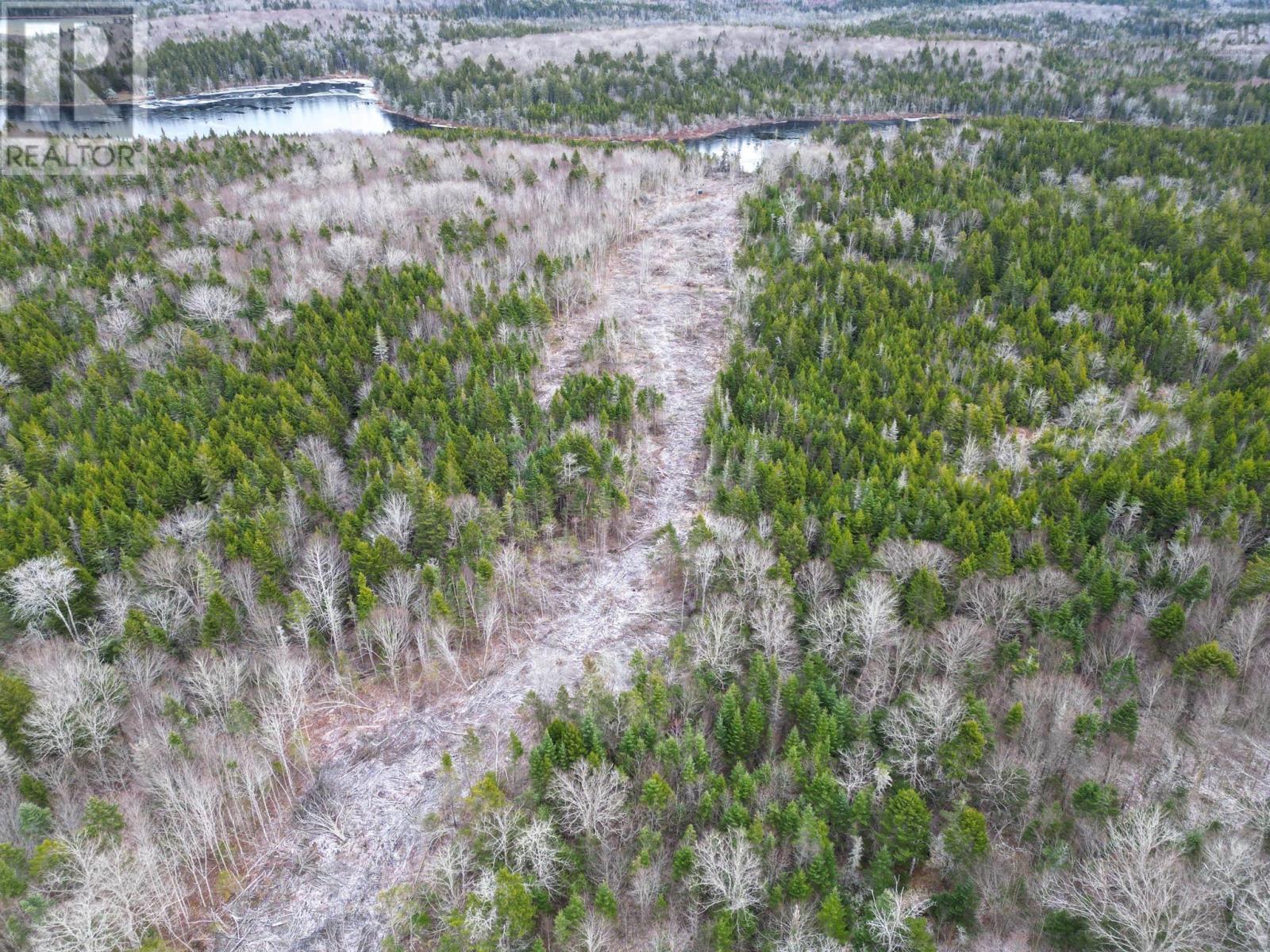 Lot Peter Leblanc Road, St. Alphonse, Nova Scotia  B0W 2J0 - Photo 15 - 202529524
