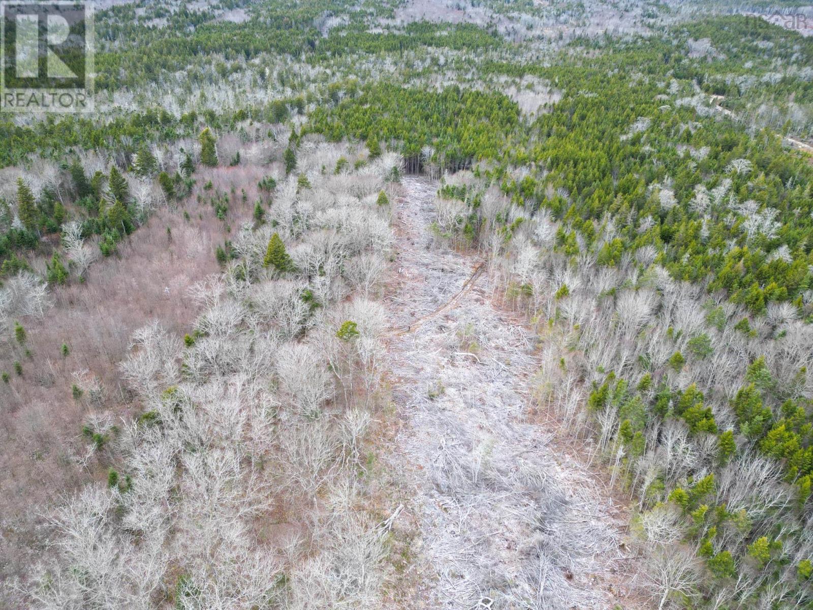 Lot Peter Leblanc Road, St. Alphonse, Nova Scotia  B0W 2J0 - Photo 5 - 202529524