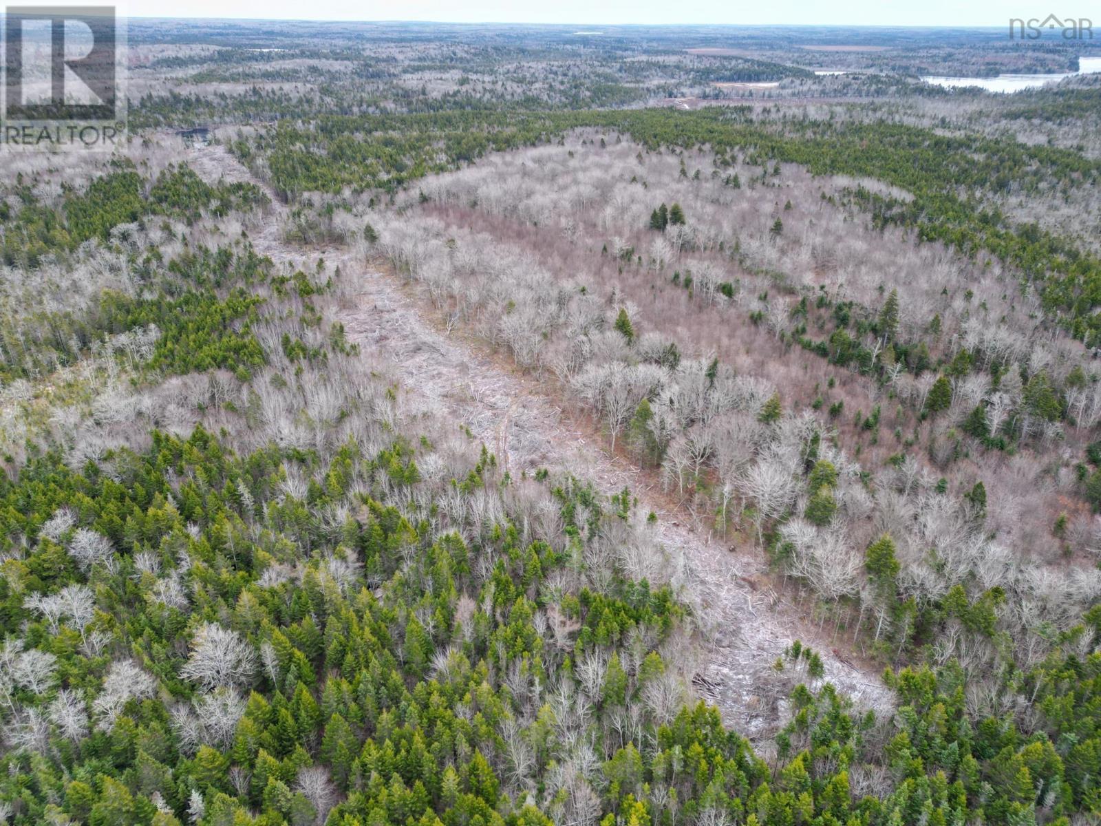 Lot Peter Leblanc Road, St. Alphonse, Nova Scotia  B0W 2J0 - Photo 8 - 202529524