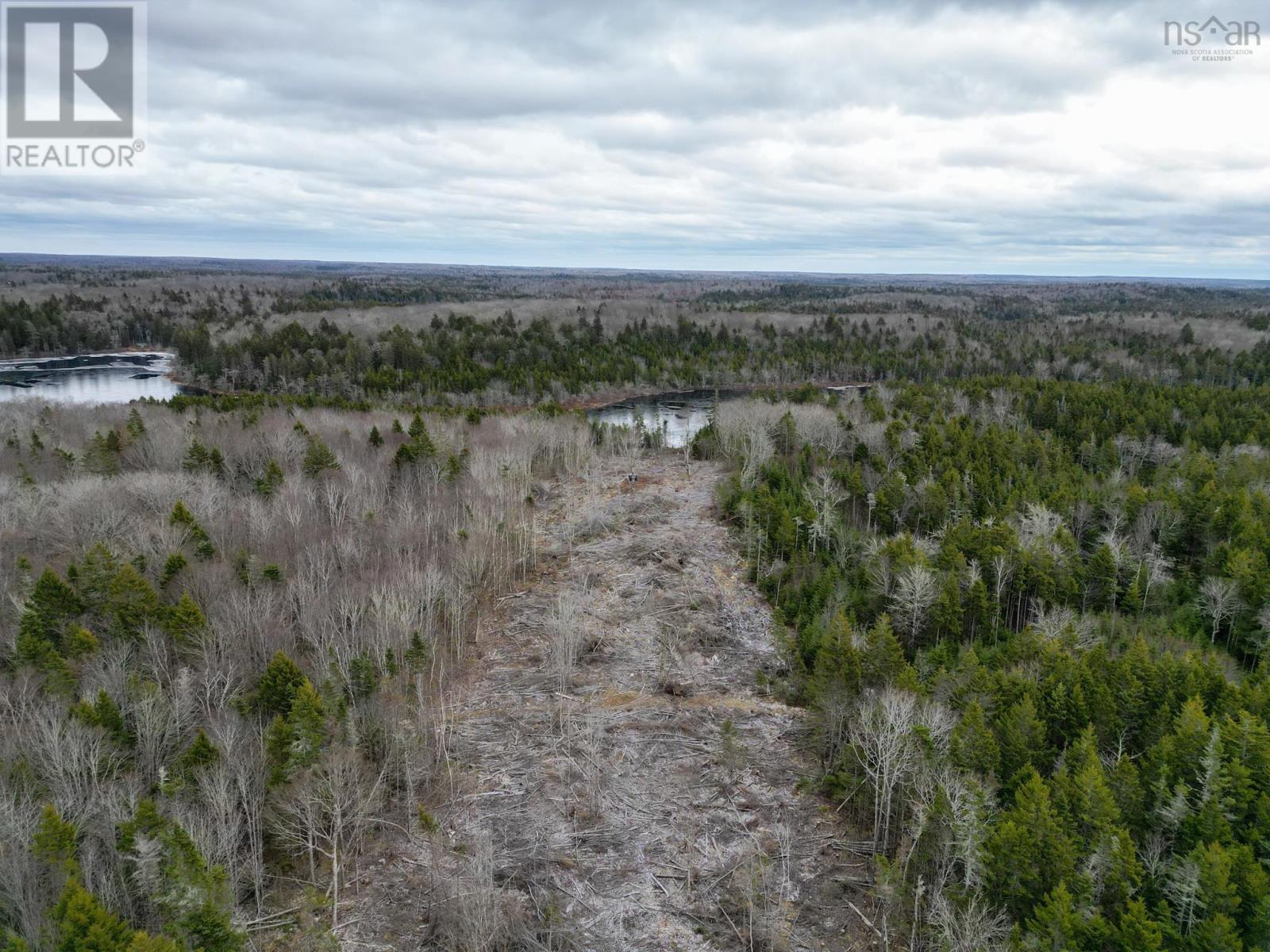 Lot Peter Leblanc Road, St. Alphonse, Nova Scotia  B0W 2J0 - Photo 9 - 202529524