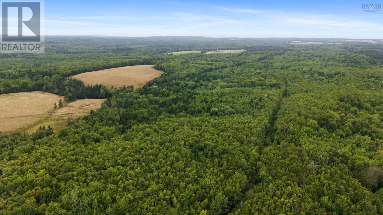 360 Burris Road, Pleasant Valley, Nova Scotia  B0N 1C0 - Photo 10 - 202529561