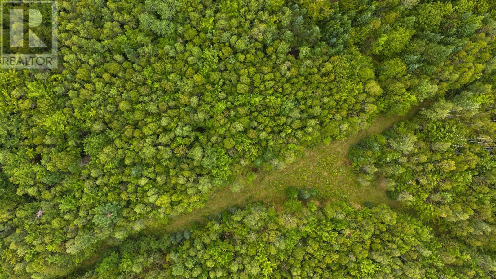 360 Burris Road, Pleasant Valley, Nova Scotia  B0N 1C0 - Photo 11 - 202529561