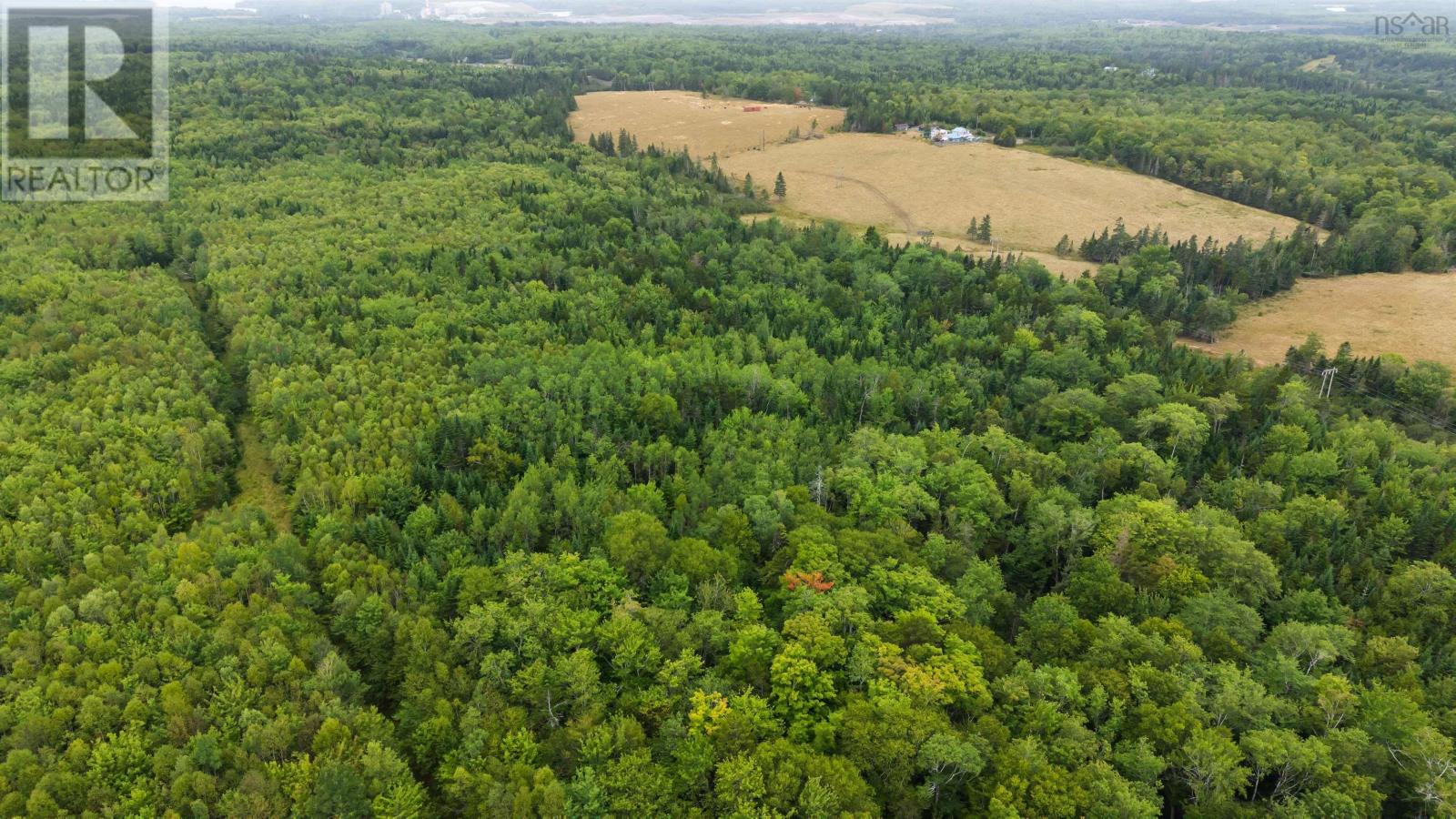 360 Burris Road, Pleasant Valley, Nova Scotia  B0N 1C0 - Photo 13 - 202529561