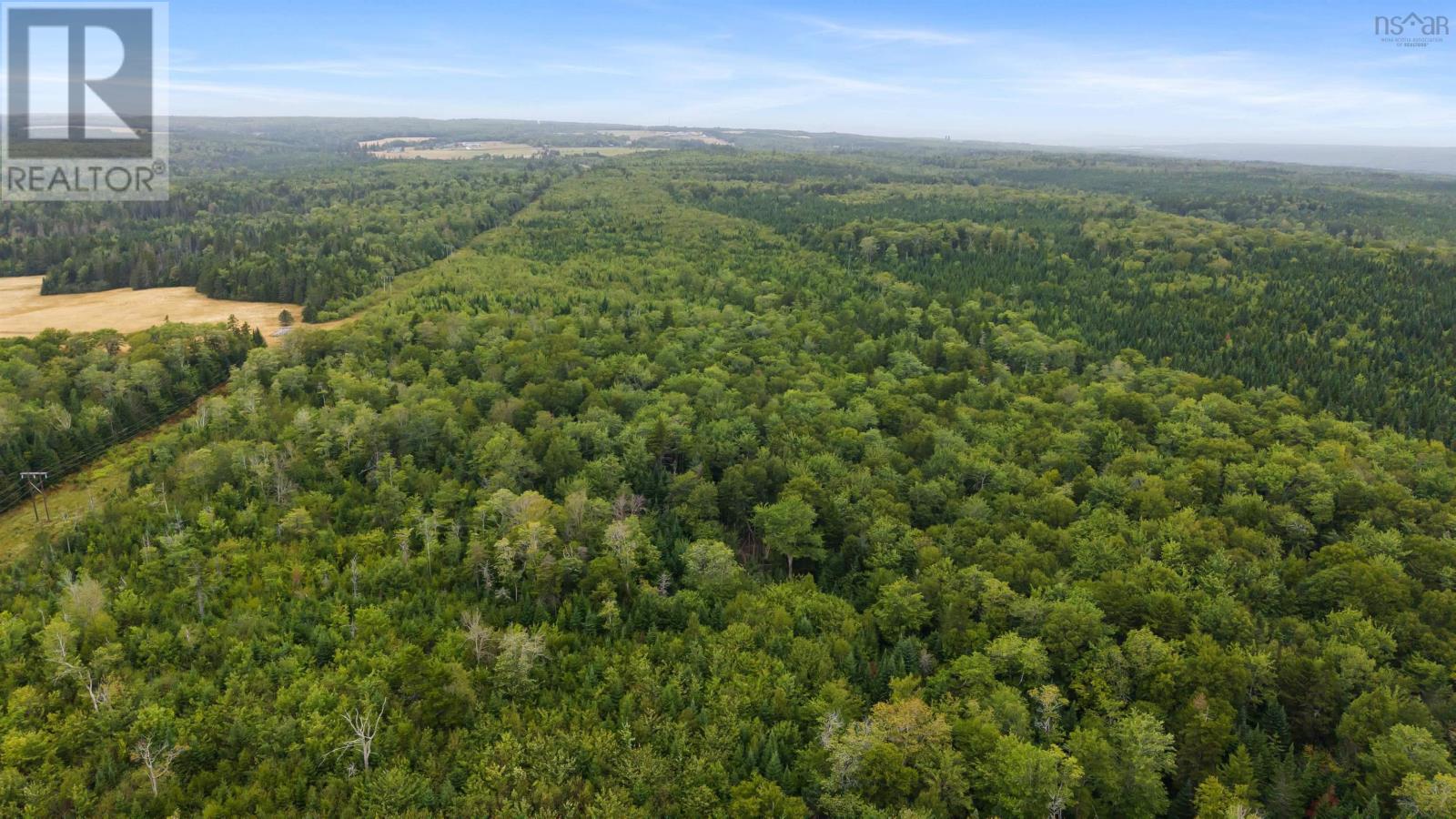 360 Burris Road, Pleasant Valley, Nova Scotia  B0N 1C0 - Photo 15 - 202529561