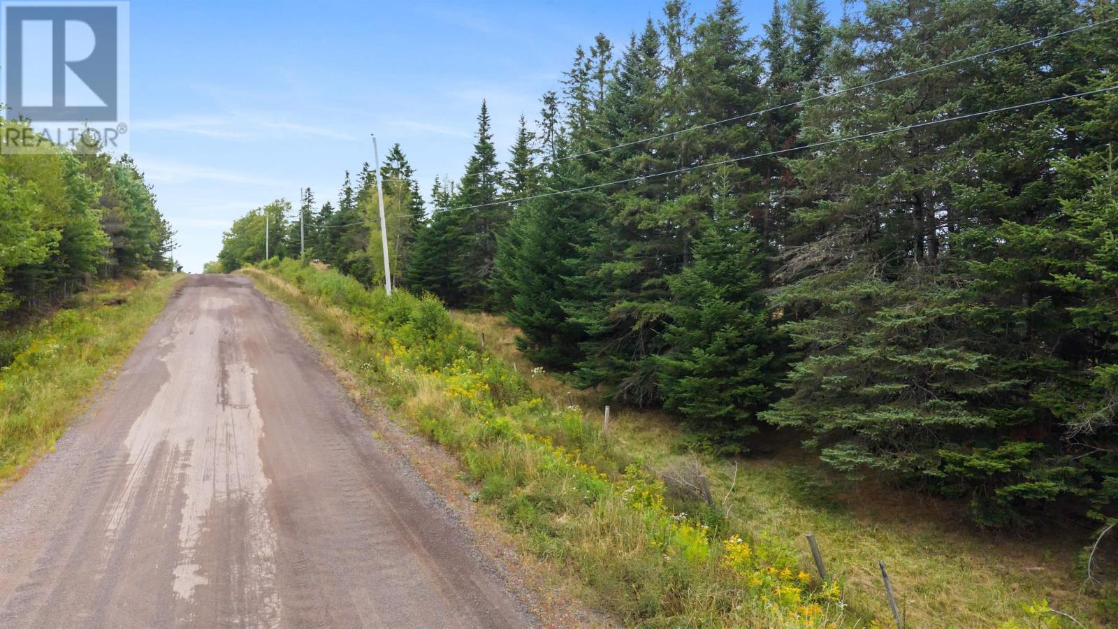 360 Burris Road, Pleasant Valley, Nova Scotia  B0N 1C0 - Photo 27 - 202529561